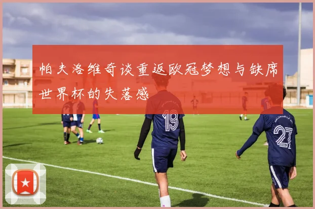 帕夫洛维奇谈重返欧冠梦想与缺席世界杯的失落感