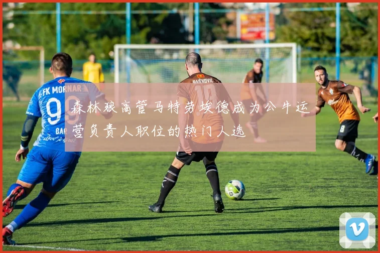 森林狼高管马特劳埃德成为公牛运营负责人职位的热门人选